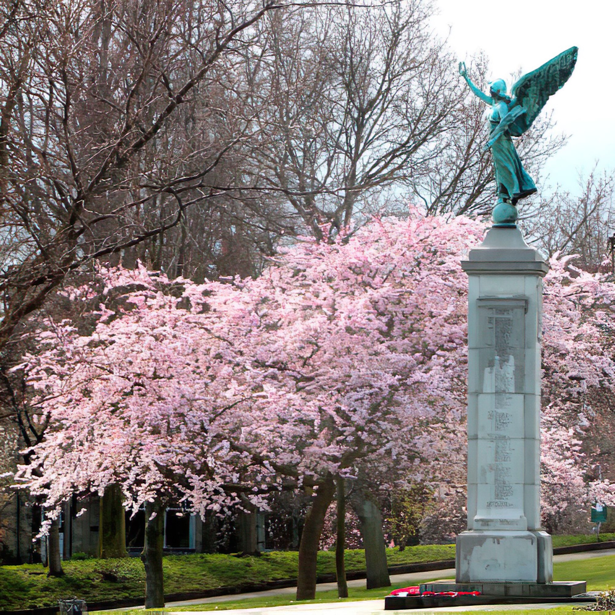 The War Memorial and Park