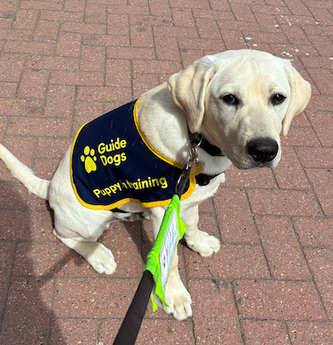 Elizabeth Edmonson - Guide Dogs